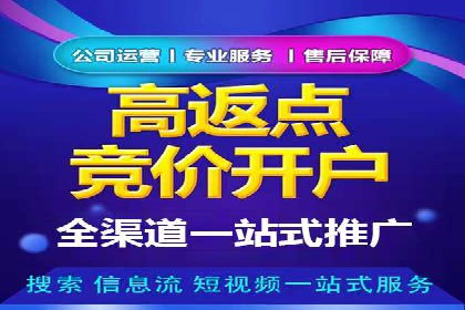 SEM搜索引擎优化案例：如何提升网站流量和转化率